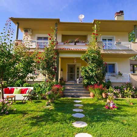 Angel Villa - Thassos Town Kültér fotó